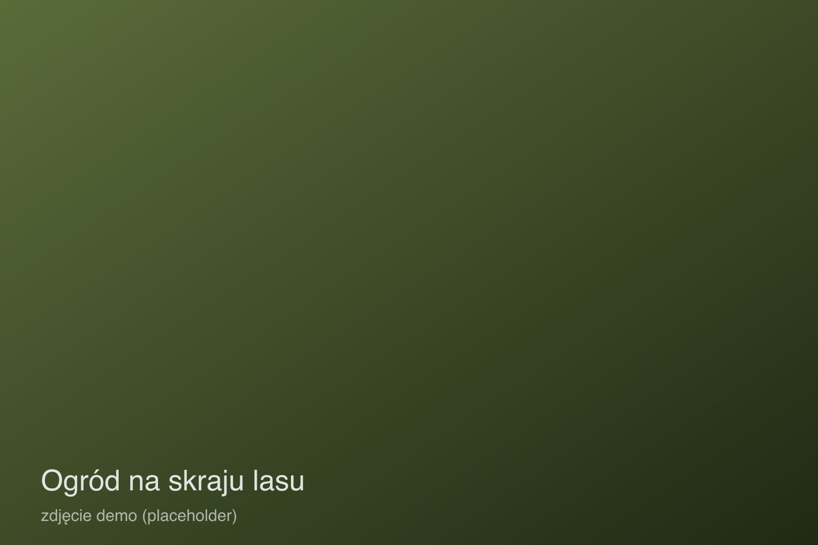 Ogród dworku na skraju lasu latem